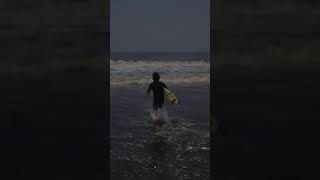 Over the years, bioluminescence has been spotted on the California coast in places like Venice Beach