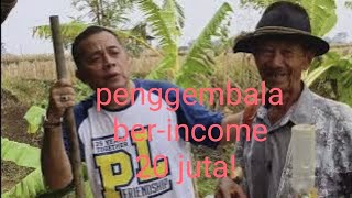 Luar Biasa!!! Besar Banget Penghasilan Pak Tua Penggembala Ini....