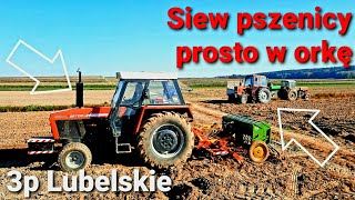 Siew pszenicy prosto w orkę 2021 !!! ☆Zetor☆Ursus☆MTZ☆ Gr.Zdun