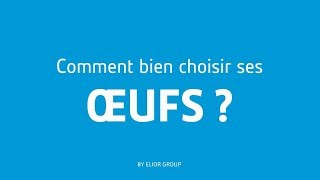 Comment bien choisir ses œufs ?