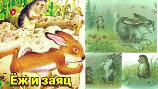 Ёж и заяц #сказки #сказка #сказкинаночь #аудиосказки