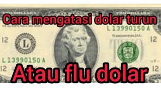 cara mengatasi dolar yang turun atau flu dolar