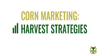 Corn Marketing: Harvest Strategies