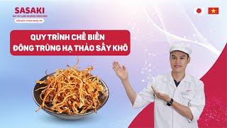 Quy trình sấy đông trùng hạ thảo giữ nguyên dược tính bằng máy sấy lạnh SASAKI