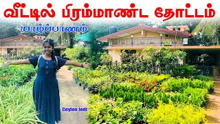 யாழ்ப்பாணத்தில் வீட்டைச்சுற்றி பிரம்மாண்ட தோட்டம் |Jaffna garden tour tamil |Ceylon jodi jaffna