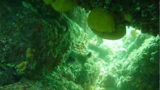 buceo faro monteagudo, islas cies