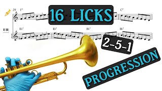 16 JAZZ LICKS TO NAIL THAT 2-5-1 PROGRESSION