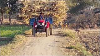 YTO 240P Mini Small Tractor in Action: Efficient Sugarcane Transport