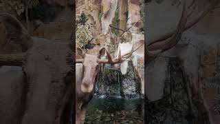 Adventures at Bass Pro Shop #BassProShop #Moose #Waterfall #ASMR