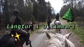 Rider i 3 timmar?😱 - Helgvlogg