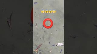 Videos antiguos,calidad 5k jajajaja #animals #shortvideo #peces #viral