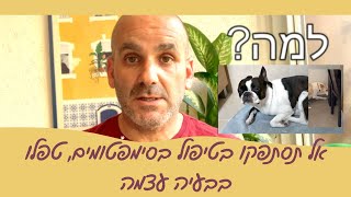 אל תסתפקו בפתרון הסימפטומים של בעיות התנהגות