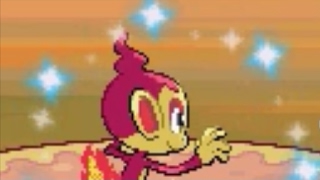 LIVE! Shiny Chimchar after 3,334 SRs!! (Platinum)