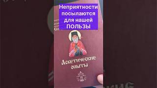 Неприятности посылаются для нашей пользы. Св. Игнатий Брянчанинов