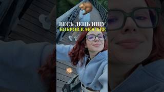 ВЕСЬ ДЕНЬ ИЩУ БОБРОВ В МОСКВЕ #влог #блог #vlog