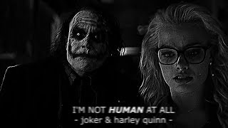 i'm not human at all ; JOKER & HARLEY QUINN