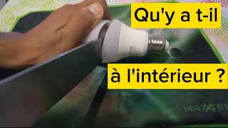 Qu'y a t-il à l'intérieur des lampes économiques ?! On va la découper pour découvrir