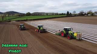 Sowing maize 2021- Drennan agri