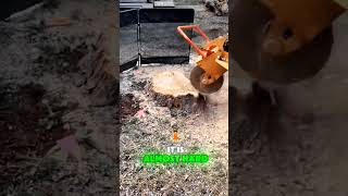 Incredible Tree stamp removing machine