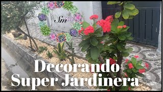 Cómo decorar una gran jardinera de manera muy simple y minimalista 🪷🌴🏠👩‍🌾🇩🇴