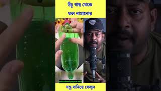 ফল নামানোর আজব পদ্ধতি #reels #trending #viral #shorts