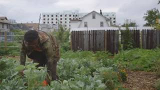 Connecting Hunger and Health in Brooklyn & Beyond