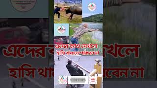 এদের কাণ্ড দেখলে হাসি থামাতে পারবেন না  | ader kando thekhle | #shorts #vairal short #vairals