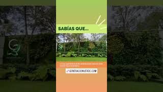 Jardín Vertical #ruido #murosverdes #jardinesverticales #calor #temperatura #ruidoexterior