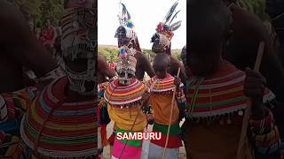 Samburu song #shortbreak #samburucounty #maasai #samburu #