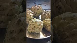 What you call this fruit in your state? Freshly ripped custard apple | Sitaphal #shorts #custard