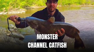 Not Your Average Fish: This Catfish is MASSIVE!