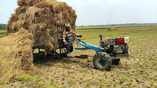 Power tiller // How the little boy driver rescued tolly tolly to load the paddy