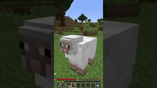 i made sheep