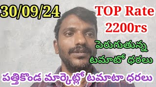 30 September 2024|| పత్తికొండ మార్కెట్లో దుమ్ములేపిన టమాటా ధర || Pathikonda market tomato rate today