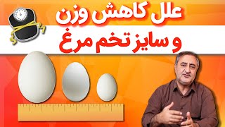 علل کاهش وزن و سایز تخم مرغ