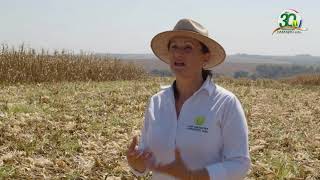 Testimonios sobre Cooperativismo - Denisa Misturini, Productora Agropecuaria