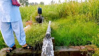 Village Life In Pakistan 2020 | Village Life Of Punjab Pakistani | Pak Village Vlog |Mandi Bahauddin