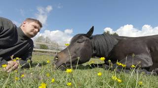 We Have A Dream @ Magic Horse Garden