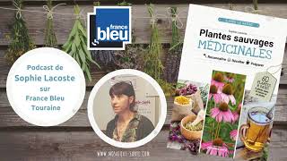 Interview de Sophie Lacoste sur France bleu Touraine