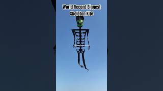 World Record Biggest Skeleton Kite In the World #lakhanambarsariya #firozpur #basant #kiteflying