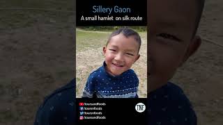 Sillery Gaon Song - #shorts #short #shortvideo