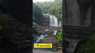 Waterfall at Cherrapunji ✌️💪#ajeet_fitcoach #nature #waterfall #mountains #shillong #meghalaya#short