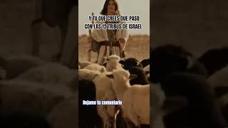 las 12 TRIBUS de Israel, conoce que paso con ellas