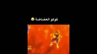 غوكو العضاضة🤣😂