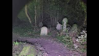 Llandaff Cathedral Graveyard walk #4