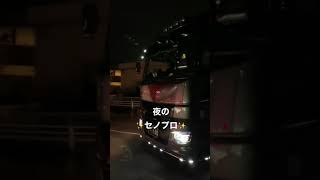 大型トラックの夜！ セノプロライトアップ祭り Fuso supergreat