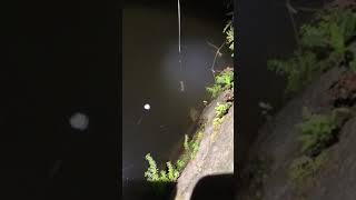 Amazing Rural Fishing Video 🐟 Best Asian Fishing Technique 🐟 #shorts