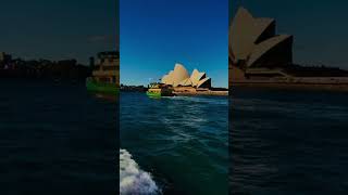 Opera house #australia  #reels  #shortvideo