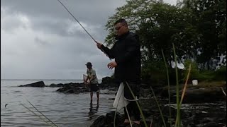 Sardine Catch & Cook On Hawaii. 😊🤙