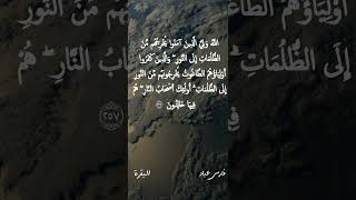 فارس عباد / اللَّهُ وَلِيُّ الَّذِينَ آمَنُوا يُخْرِجُهُم مِّنَ الظُّلُمَاتِ إِلَى النُّورِ ۖ